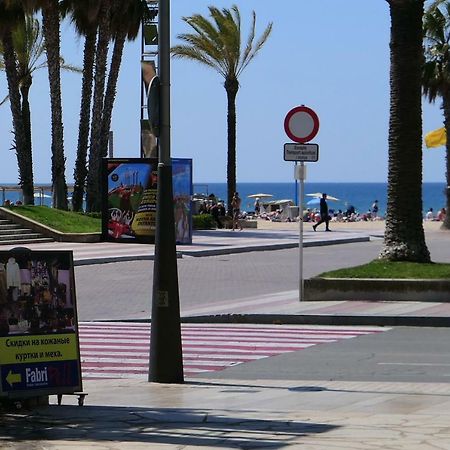 Rentalmar Delfos Playa 萨洛 外观 照片